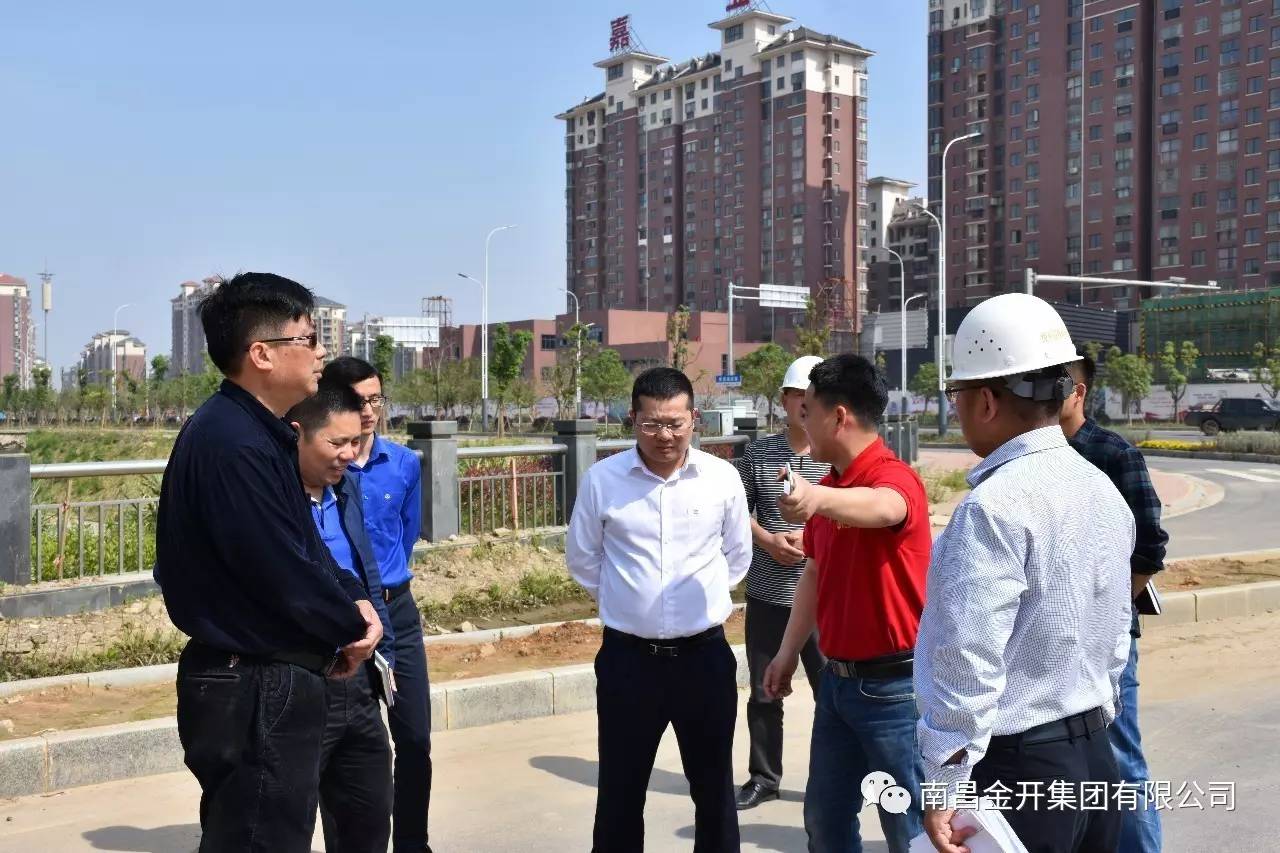 金开乐鱼(中国)高管深入在建重大、重点项目进行调研