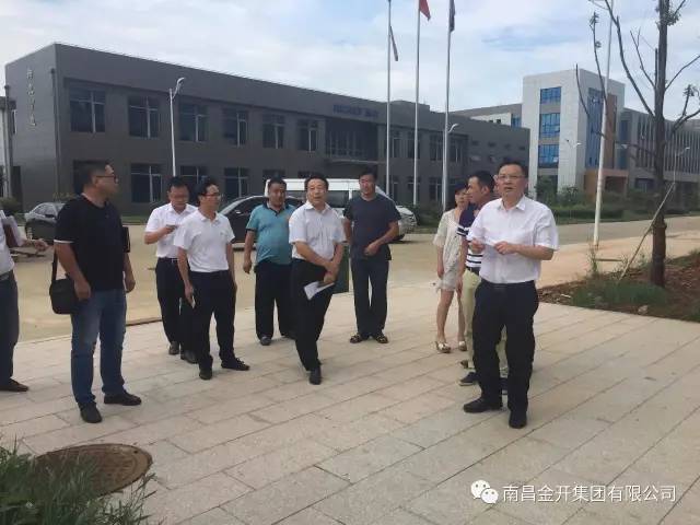 区管委会副调研员谭钟亮调研金开乐鱼(中国)在建电力项目