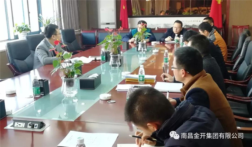 项目公司组织召开2018年项目推进调度会