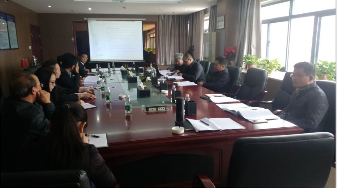 儒乐湖及周边生态治理项目召开启闭机招标设计方案专题评