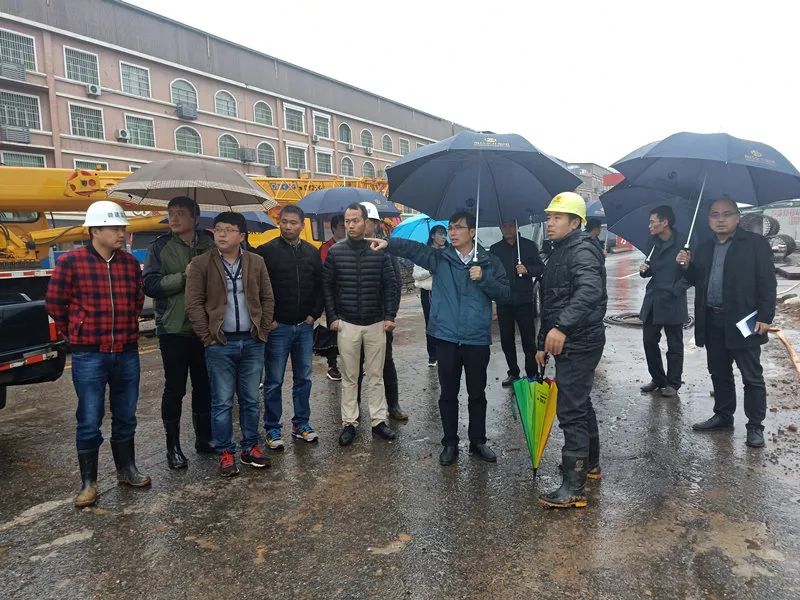 【聚焦】助力文明城市创建，金开乐鱼(中国)在行动 