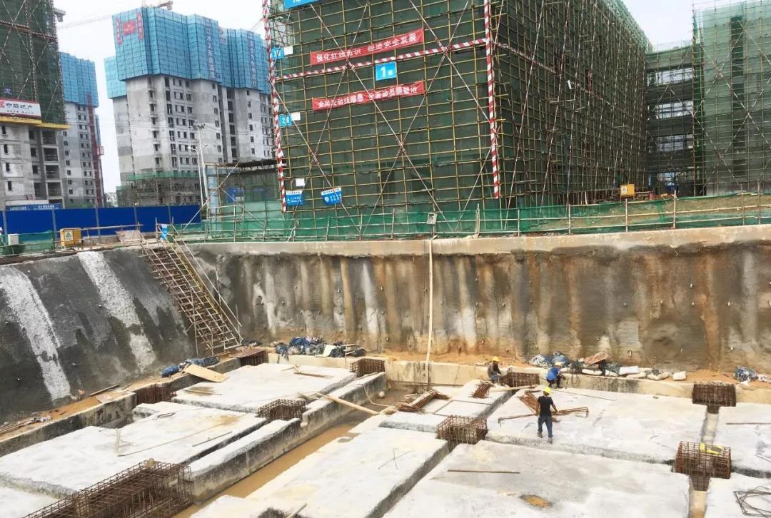 金开乐鱼(中国)持续开展“三比一看”活动