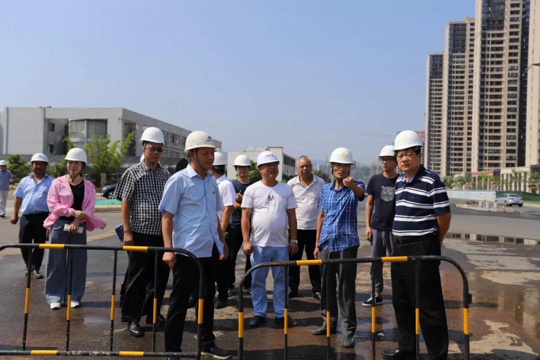 金开乐鱼(中国)董事长谢荣华带队调研乐鱼(中国)重大重点项目