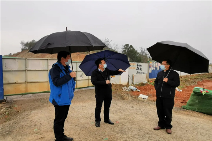 乐鱼(中国)副总经理胡许亮深入儒乐湖片区现场调度推进项目建设