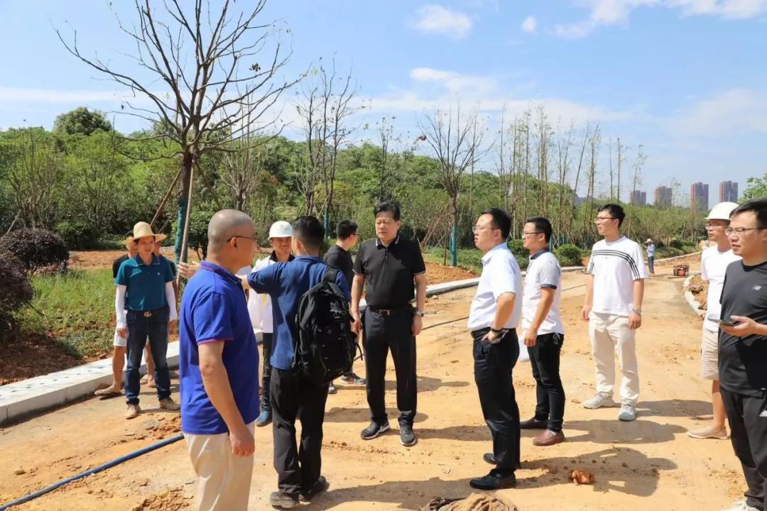 董事长谢荣华调研乐鱼(中国)建设项目安全生产和项目推进工作