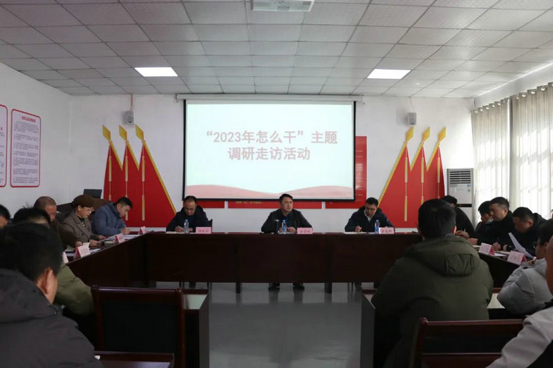 乐鱼(中国)领导调研子公司：以市场化发展彰显平台功能