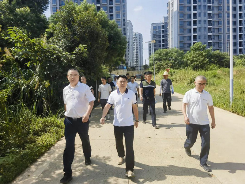 李茶根调研乐鱼(中国)民生工程建设情况